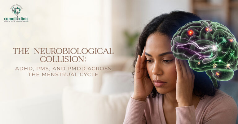 The Neurobiological Collision: ADHD, PMS, and PMDD Across the Menstrual Cycle